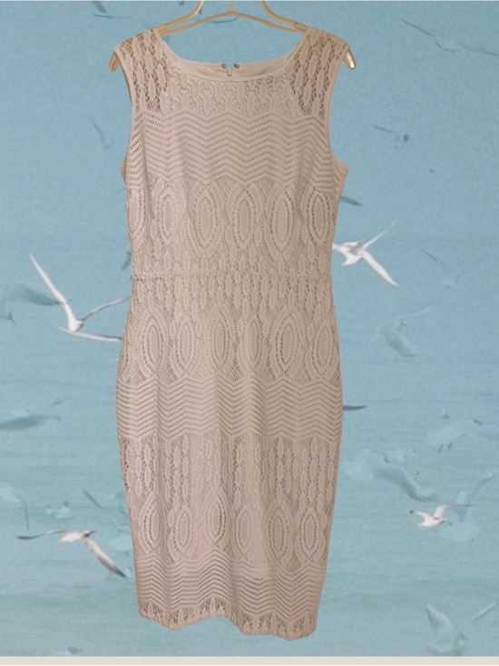 Ellen Tracy Dresses & Skirts - Ellen Tracy White Sleeveless Lace Sheath Dress, Lined, Back Zip, Sz 6